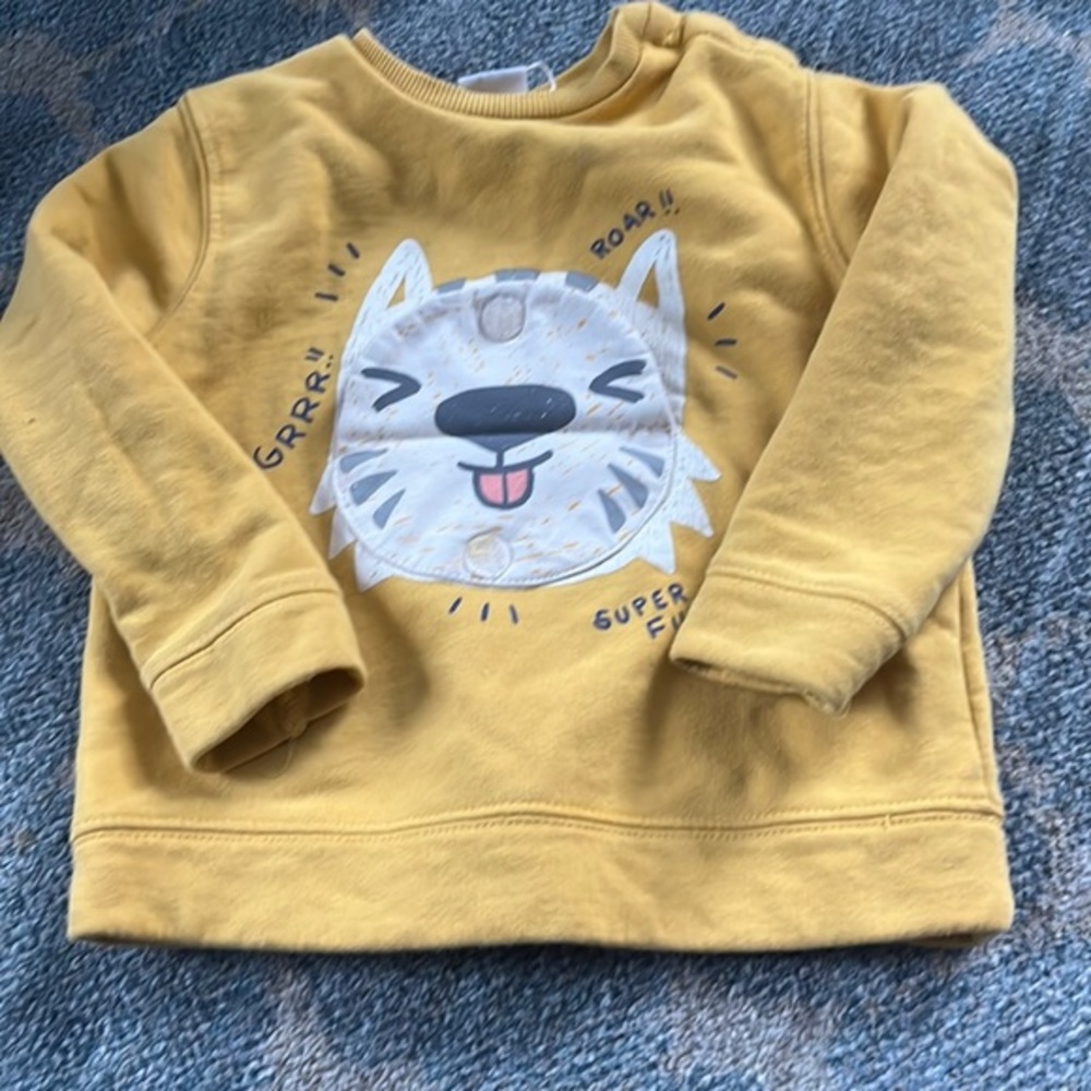 Zara Tiger 🐯 Sweater - Picture 1 of 4